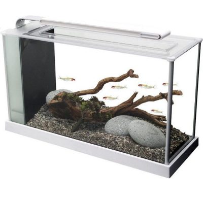 Fluval Spec Aquarium - Gloss White - 19l
