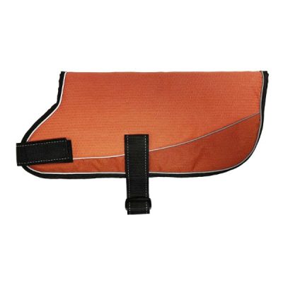 Go Walk Everyday Classic Dog Coat - Small, Orange