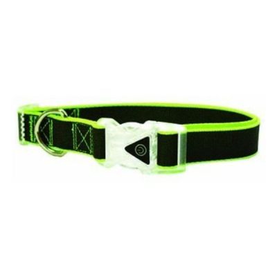 Go Walk Reflective Rainbow Dog Collar - Large