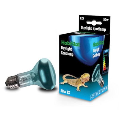HabiStat Daylight Spot Lamp (Screw) - 50 watt