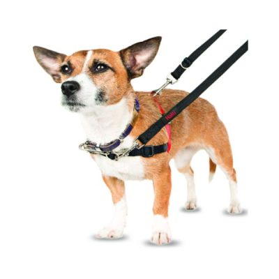 Halti Front Control Harness - Small