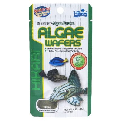 Hikari Algae Wafers - 20g