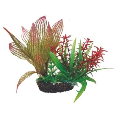Hugo Kamishi Boxed Plant Mix 1 - 15cm