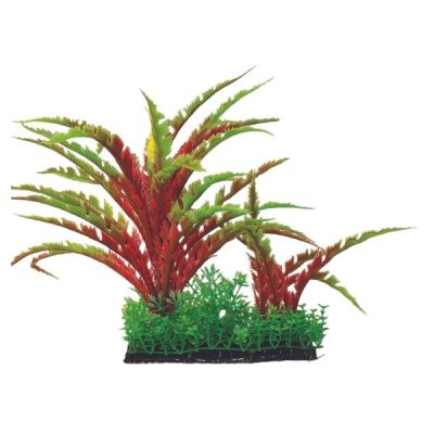 Hugo Kamishi Boxed Plant Mix 2 - 20cm