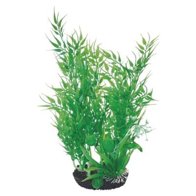 Hugo Kamishi Boxed Plant Mix 2 - 28cm