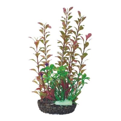 Hugo Kamishi Boxed Plant Mix 3 - 28cm