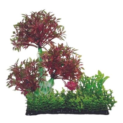 Hugo Kamishi Boxed Plant Mix 4 - 20cm