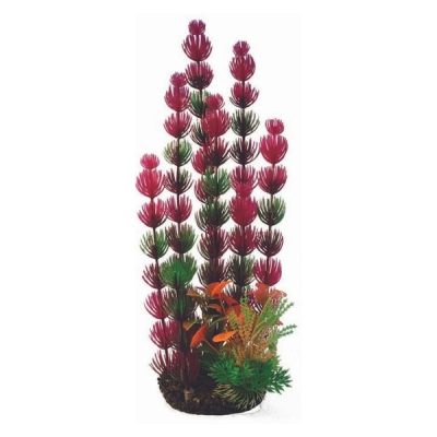Hugo Kamishi Boxed Plant Mix 5 - 35cm