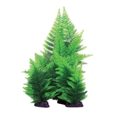 Hugo Kamishi Green Broad Leaf Fern Plant - 30cm