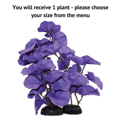 Hugo Kamishi Lily Purple Silk Plant - 40cm