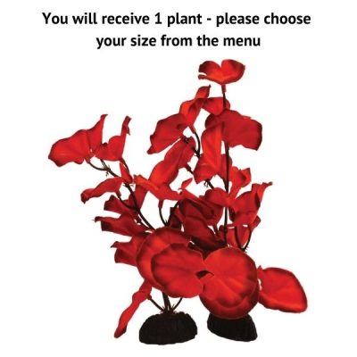 Hugo Kamishi Lily Red Silk Plant - 20cm