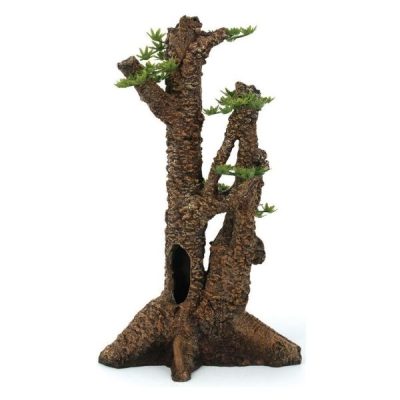 Hugo Kamishi Pine Tree - 20 x 17 x 35 cm