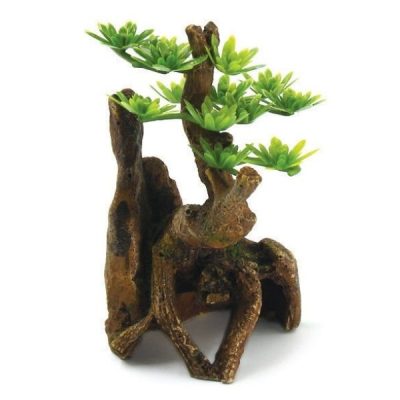 Hugo Kamishi Pine Tree - 7 x 6 x 11 cm