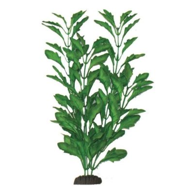 Hugo Kamishi Polysperma Green Silk Plant - 13cm