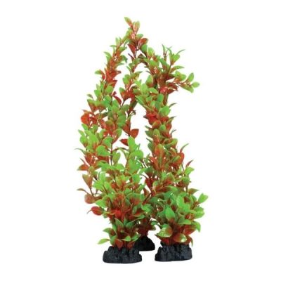 Hugo Kamishi Red & Green Ludwigia Plant - 30cm