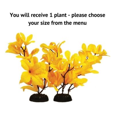 Hugo Kamishi Yellow Rotala Silk Plant - 13cm