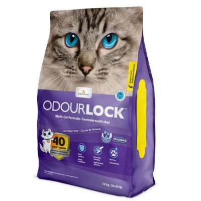 Intersand Odourlock Clumping Litter - Lavender 6kg