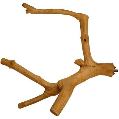 Java Multi Branch Bird Perch - Small