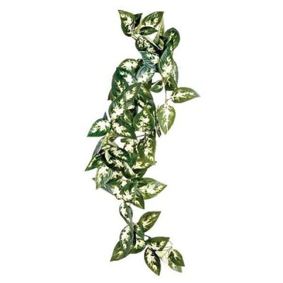 Komodo Borneo Hanging Vine - 40cm