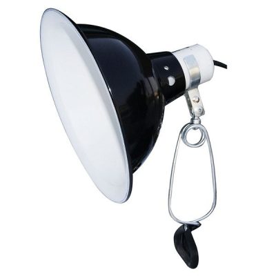 Komodo Dome Clamp Lamp Fixture - 21cm