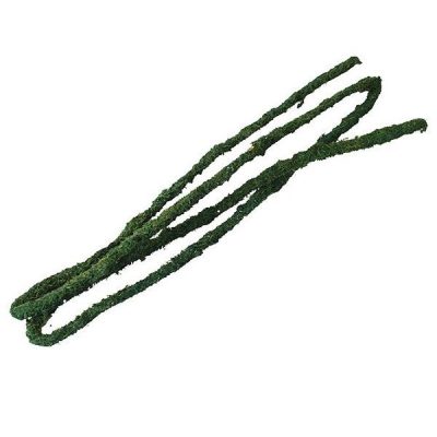 Komodo Natural Tropical Vine - Medium