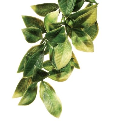 Exo-Terra Plastic Mandarin Shrub - Medium