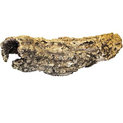 ProRep Cork Bark Tube - Small Tube, Short