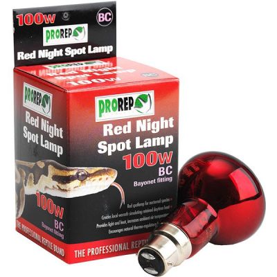 ProRep Red Night Spotlamp (BC) Bayonet - 100W