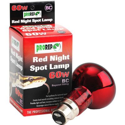 ProRep Red Night Spotlamp (BC) Bayonet - 60W