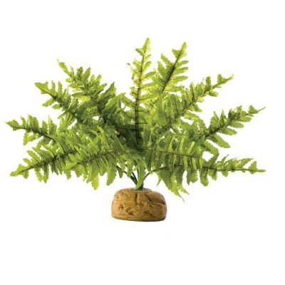 Exo Terra Boston Fern - Small