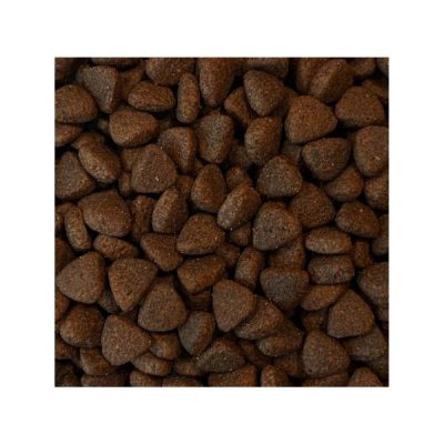 Skye & Murphy Superfood 65 Responsibly Sourced Turkey Small Breed Senior Light Dog Food - 2kg