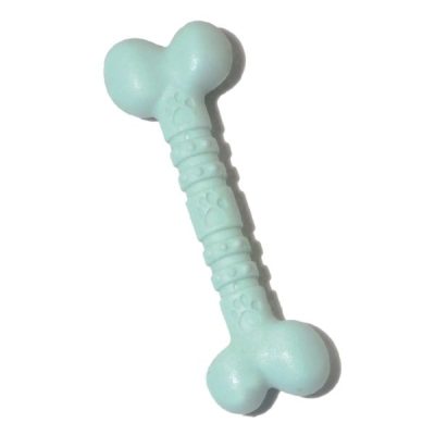 Rosewood Mint Nylon Bone Chew - Small