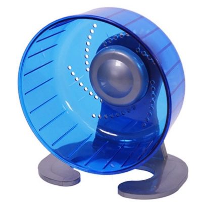 Rosewood Pico Exercise Wheel with Stand - Blue