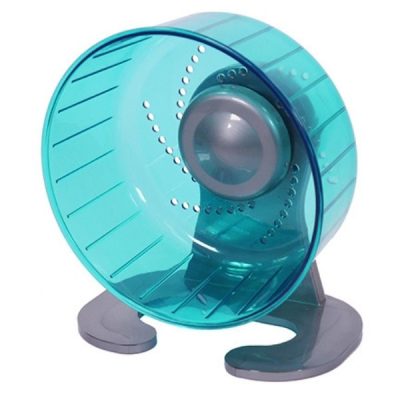 Rosewood Pico Exercise Wheel with Stand - Teal