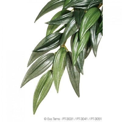 Exo-Terra Silk Rucus Plant - Small