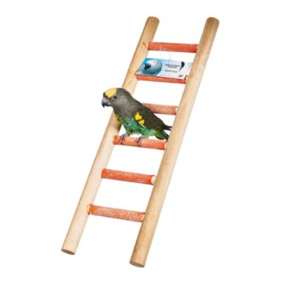 Sky pets Cement Ladder - Six Step