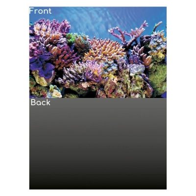 SuperFish Deco Poster