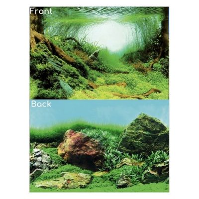 SuperFish Deco Poster