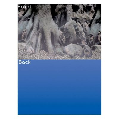 SuperFish Deco Poster