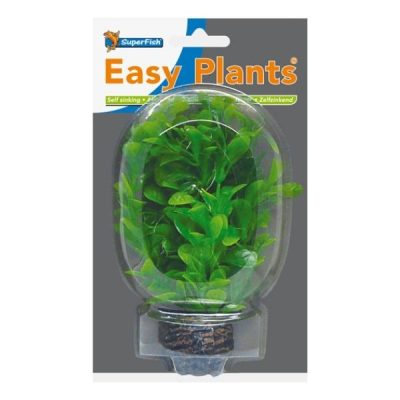 SuperFish Low Aquarium Easy Plant 13cm - Easy Plant NR. 8