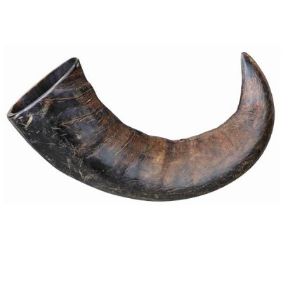 Trixie Buffalo Chewing Horn - Large