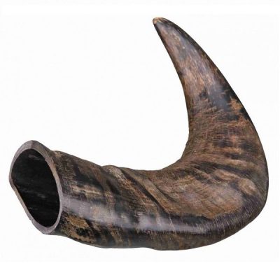 Trixie Buffalo Chewing Horn - Medium