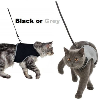 Trixie Soft Cat Harness & Leash - Black or Grey, 24-42 cm