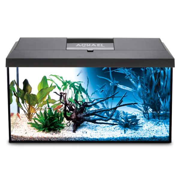 AquaEl Leddy 60 Aquarium