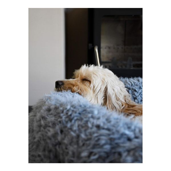 Rosewood Silver Fluff Comfort Round Med