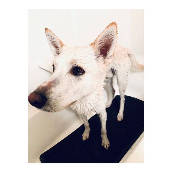 Tall Tails Wet Paws Bath Mat.