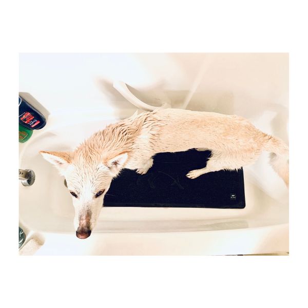 Tall Tails Wet Paws Bath Mat.