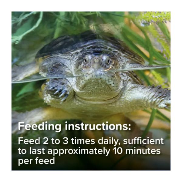 King British Turtle & Terrapin Food Sticks.
