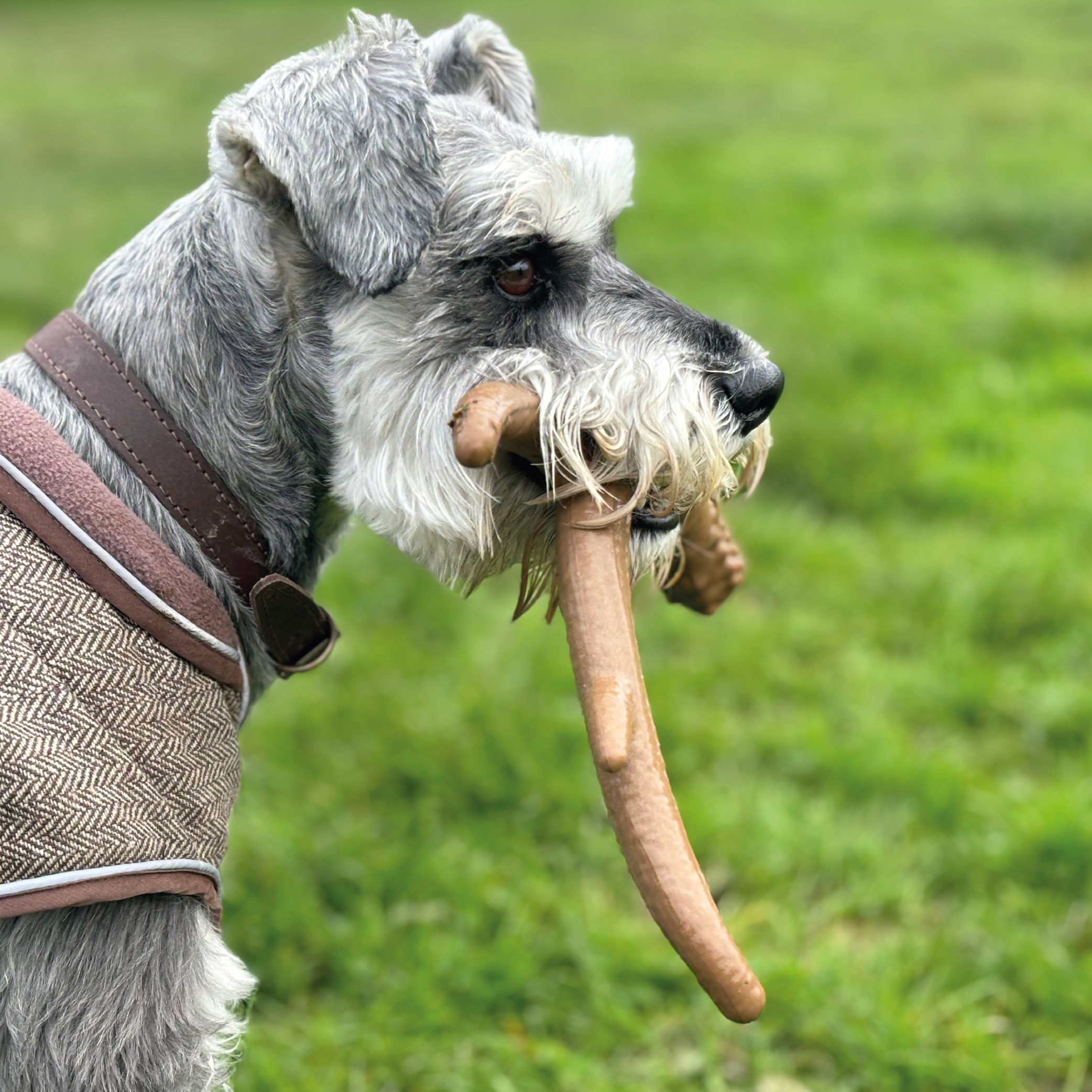 HugglePets Legacy Nylon Antler Dog Toy - Image 7