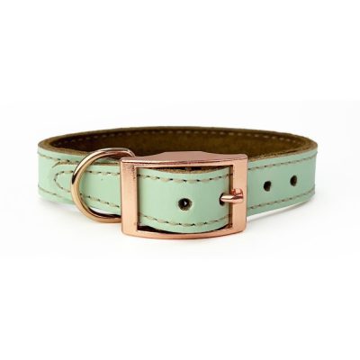 Skye & Murphy Leather Collar Pistachio - HugglePets